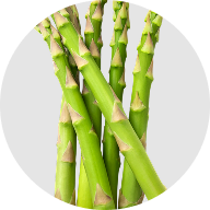 ETAS asparagus extract - clinically tested ingredient for deep sleep and cellular recovery