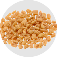 Fenugreek extract (Trigonella foenum)