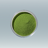 Green tea (Camellia sinensis)