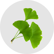 Gingko biloba extract