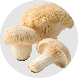 Lion's Mane extract