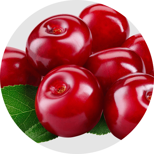Montmorency cherry extract - natural sleep hormone and circadian rhythm support
