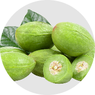 Terminalia chebula extract